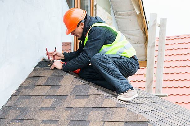 Best Roof Gutter Cleaning  in Holiday City South, NJ